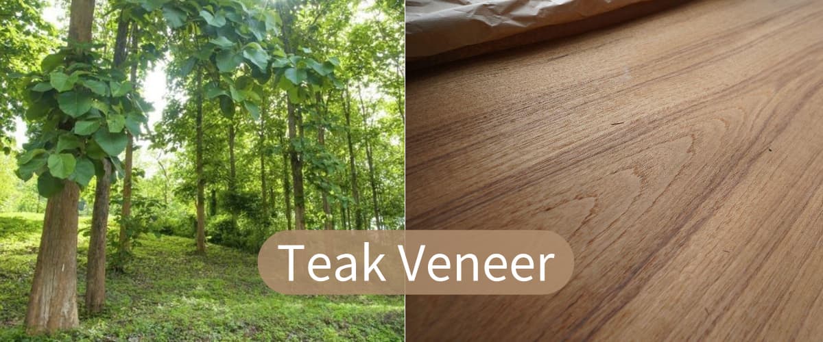 Complete Teak Veneer Guide For Furniture And Interior Decoration