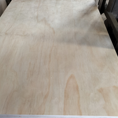 Pine Plywood