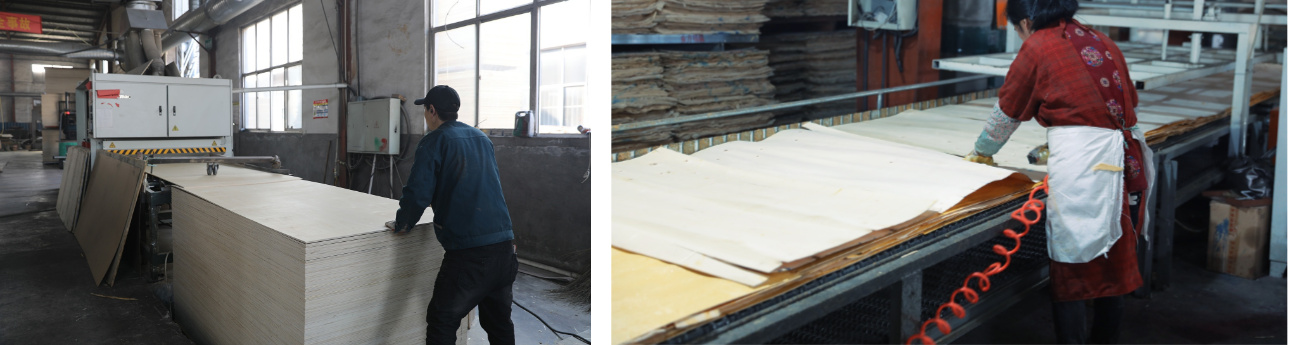 Comparison of Plywood Manufacturing Methods - Wet Heat vs Dry Cold vs Dry Heat Process