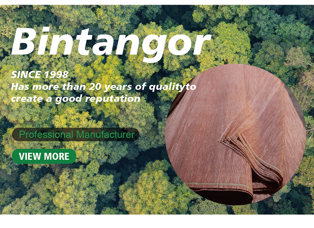 bintangor veneer.jpg