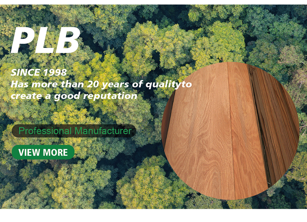 PLB Veneer.jpg