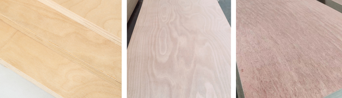 Plywood Products - Birch, Okoume, Bintangor Plywood Comparison