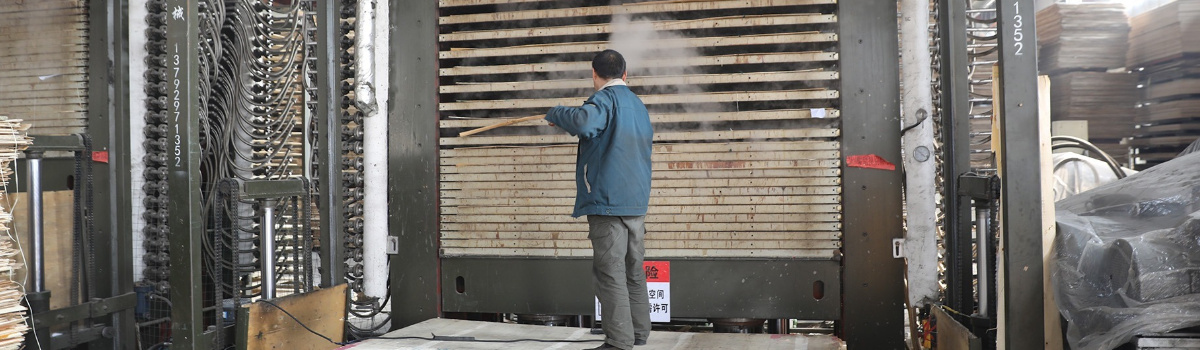 Sand between coats for smooth birch plywood finish