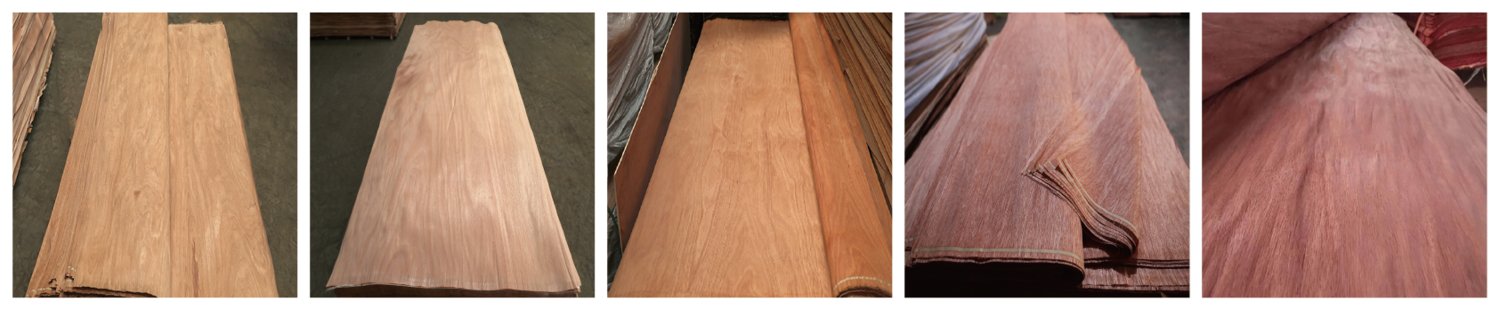 Different wood veneer species display
